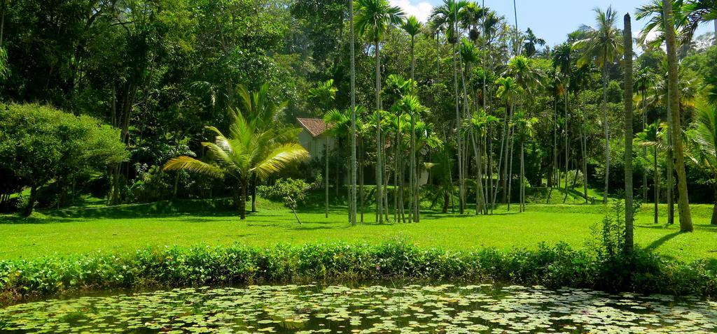 Siri Wedamadura Villa by Colonial Villas in Sri Lanka Mirissa Habitación foto