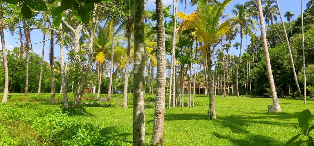 Siri Wedamadura Villa by Colonial Villas in Sri Lanka Mirissa Habitación foto